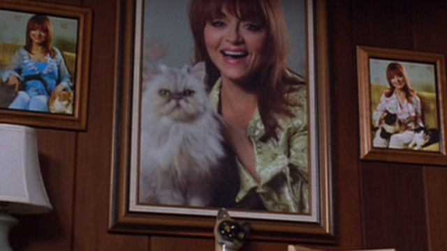 Material Girls - photos on wall of Margo Judy Tenuta with cats