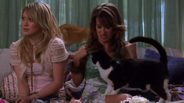 Material Girls - Ava Haylie Duff and Tanzie Hilary Duff on couch surrounded by cats