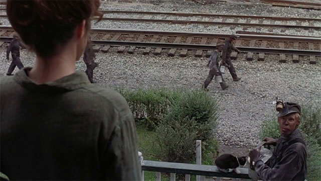 Matewan - tuxedo cat standing on railing by Danny Will Oldham and Elma Mary McDonnell