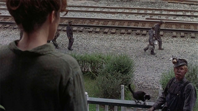 Matewan - tuxedo cat standing on railing by Danny Will Oldham and Elma Mary McDonnell