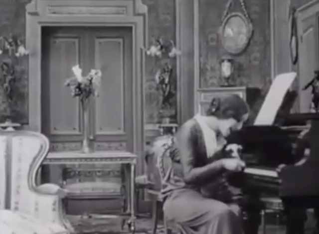 Max Doesn't Like Cats - Lucy d'Orbel with longhair tabby cat at piano