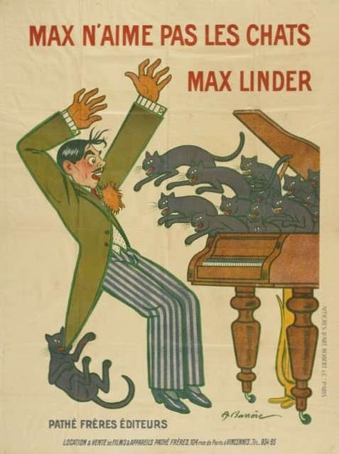 Max Doesn't Like Cats - French movie poster