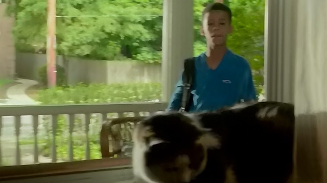 Me and Earl and the Dying Girl - calico cat in window as Earl Edward DeBruce III approaches
