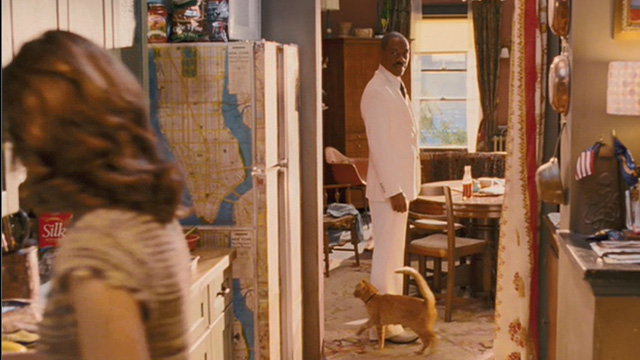 Meet Dave - orange tabby cat Boris approaching Dave Eddie Murphy