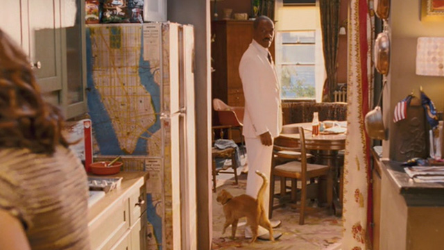 Meet Dave - orange tabby cat Boris approaching Dave Eddie Murphy