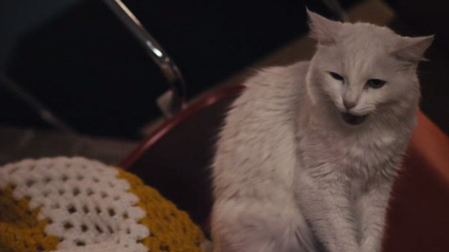 Me Him Her - white cat licking its lips