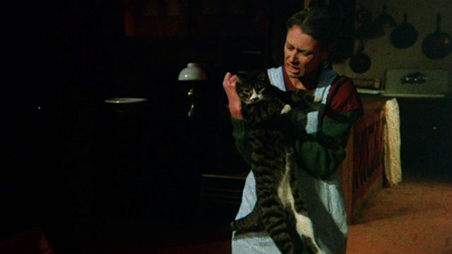 Memories Within Miss Aggie - Deborah Ashira carrying tabby and white cat by scruff