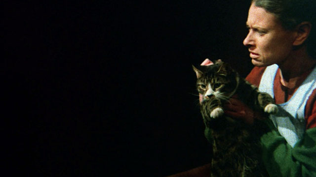 Memories Within Miss Aggie - Deborah Ashira carrying tabby and white cat