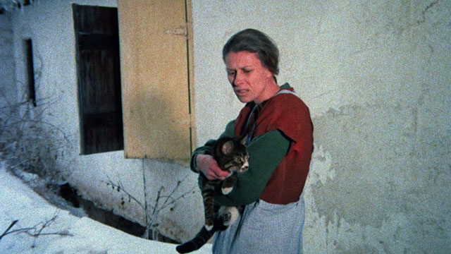 Memories Within Miss Aggie - Deborah Ashira standing outside with tabby and white cat