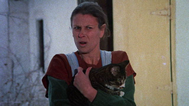 Memories Within Miss Aggie - Darby Lloyd Rains holding gray and white tuxedo cat