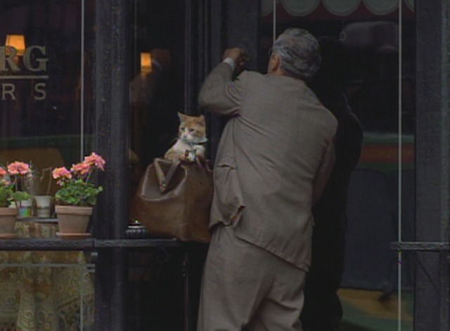 Men in Black - Rosenberg and orange and white cat Orion leave shop