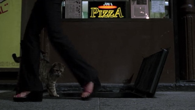 Men in Black II - tabby cat Bruno watches Laura Rosario Dawson carrying case of soda pass by