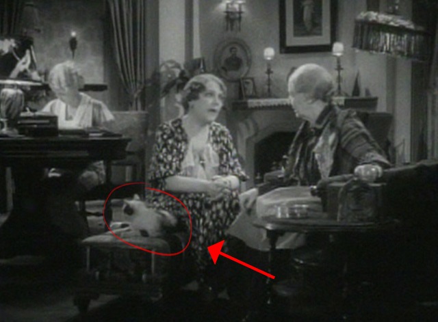 The Merry Frinks - calico cat sitting on bench