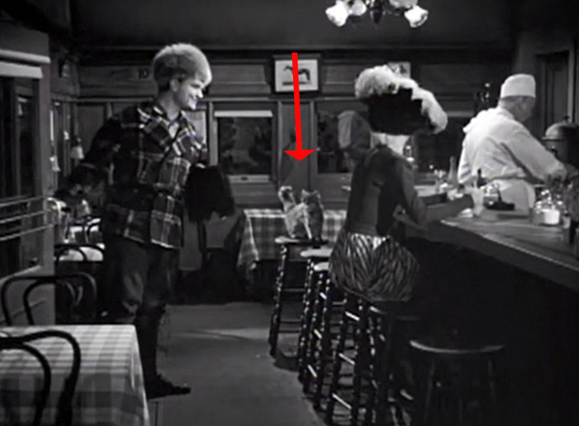 Merton of the Movies - tabby Maine Coon cat on stool in diner with Red Skelton
