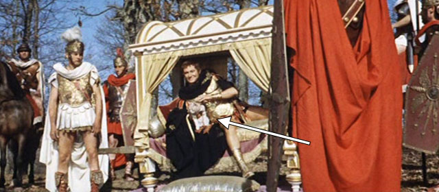 L'ultimo gladiatore - Messalina vs. the Son of Hercules - Caligula Charles Borromel sitting in lectica during battle with cream colored tabby cat