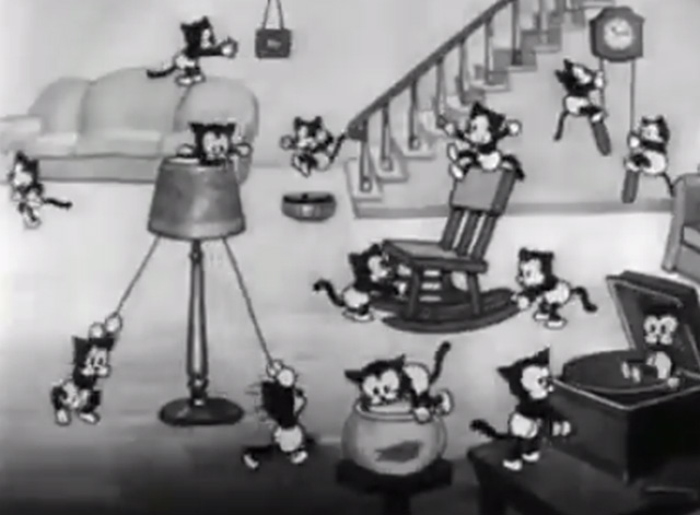 Mickey's Orphans - black kittens playing all around house