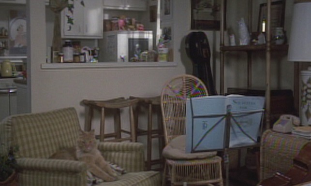 Micki and Maude - orange long-haired cat sitting on chair