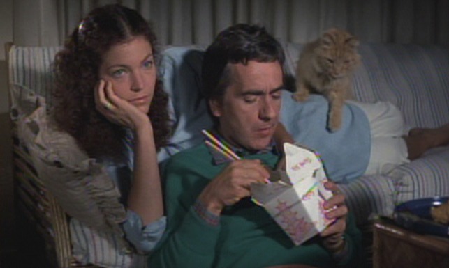 Micki and Maude - orange long-haired cat climbing on Dudley Moore's shoulder