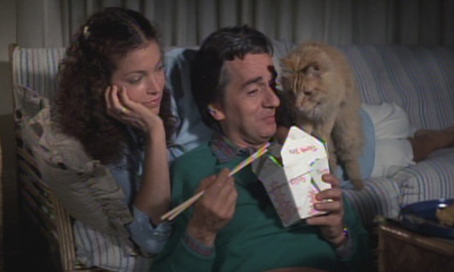 Micki and Maude - orange long-haired wanting Chinese food from Dudley Moore with Amy Irving