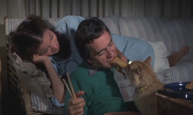 Micki and Maude - orange long-haired cat and Dudley Moore playing tug of war with egg roll