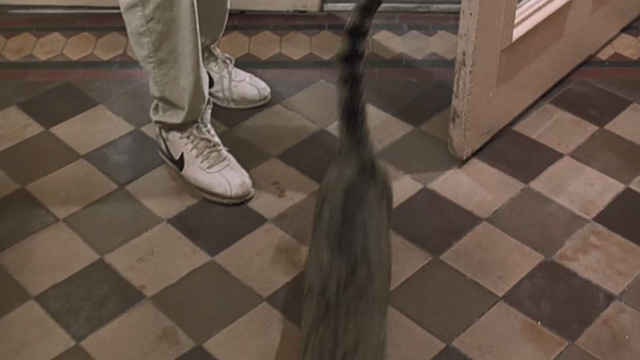 Midnight in the Garden of Good and Evil - tabby cat Shelton running in through door