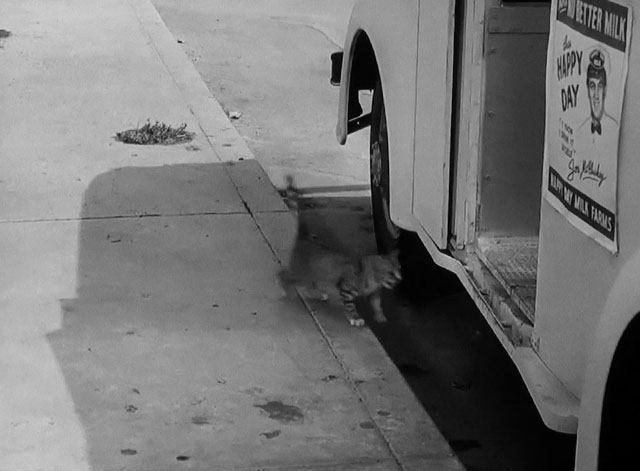 The Milkman - tabby cat about to step into milk truck