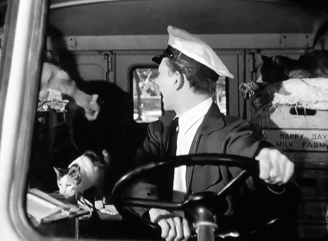 The Milkman - Roger Donald O'Connor shocked by numerous cats in his milk truck