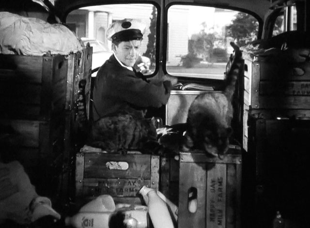 The Milkman - Roger Donald O'Connor driving milk truck full of cats