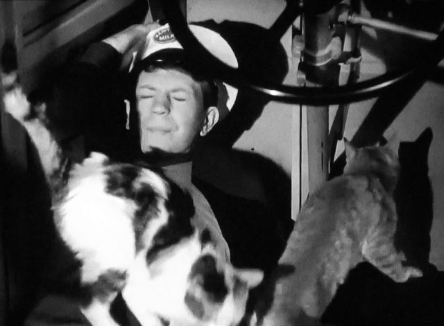 The Milkman - Roger Donald O'Connor lying on floor of milk truck with cats