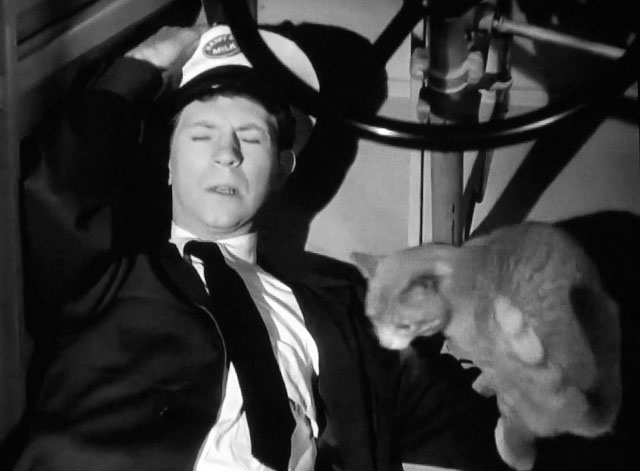 The Milkman - Roger Donald O'Connor lying on floor of milk truck with tabby cat