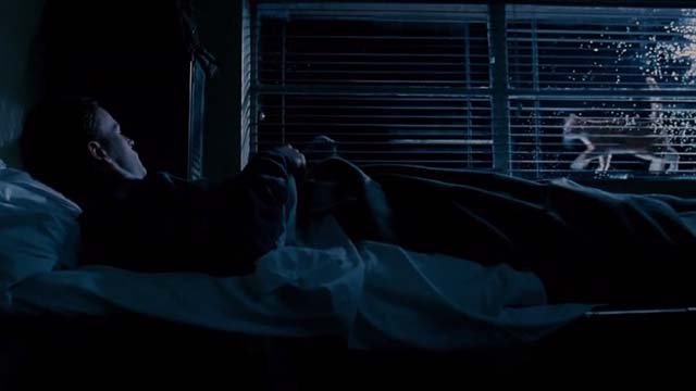 Mindhunters - orange and white cat outside window