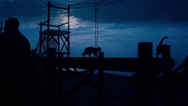 Mindhunters - cats on dock at night