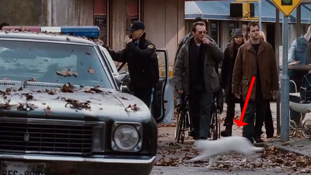 Mindhunters - white cat running across street