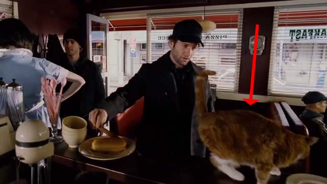 Mindhunters - orange and white cat on counter of diner