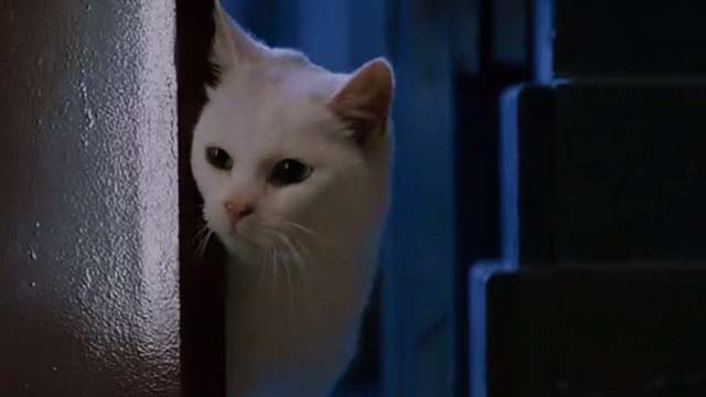 Mindhunters - white cat looking into room from doorway