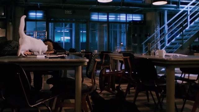 Mindhunters - white cat up on table