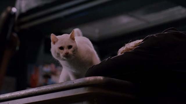Mindhunters - white cat looking down from table