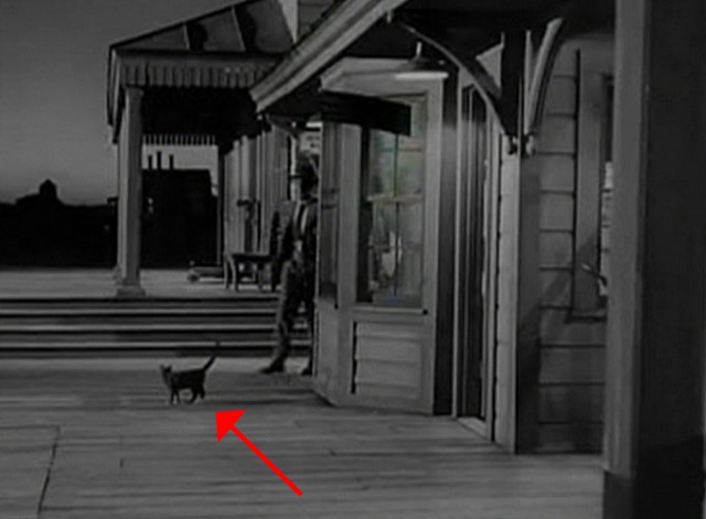 The Miracle of the Bells - cat standing on train platform with Fred MacMurray