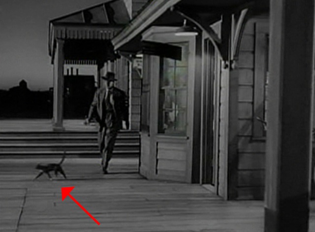 The Miracle of the Bells - cat running off train platform away from Fred MacMurray