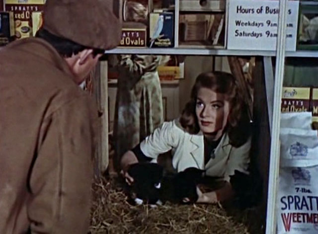 Miracle in Soho - Michael looking at Julia Belinda Lee with tuxedo kittens in pet shop window