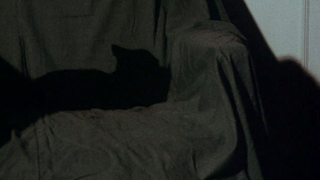 Miss Leslie's Dolls - black cat Tom on covered chair