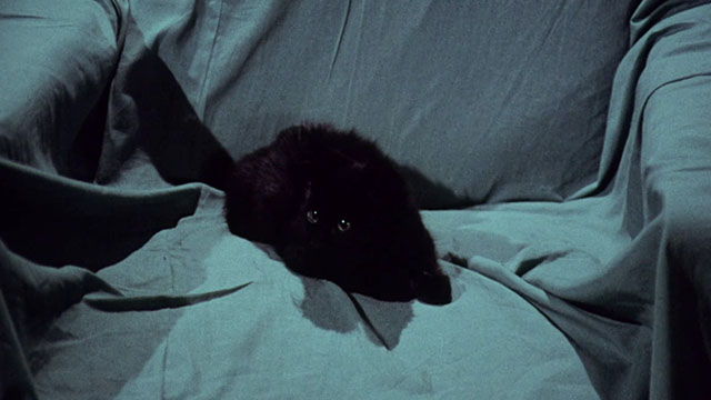 Miss Leslie's Dolls - black cat Tom sitting on covered chair