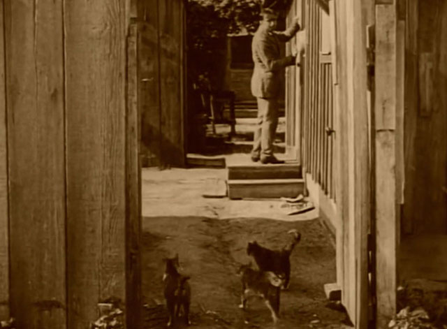 The Mollycoddle - cats following Richard Marshall Douglas Fairbanks to house