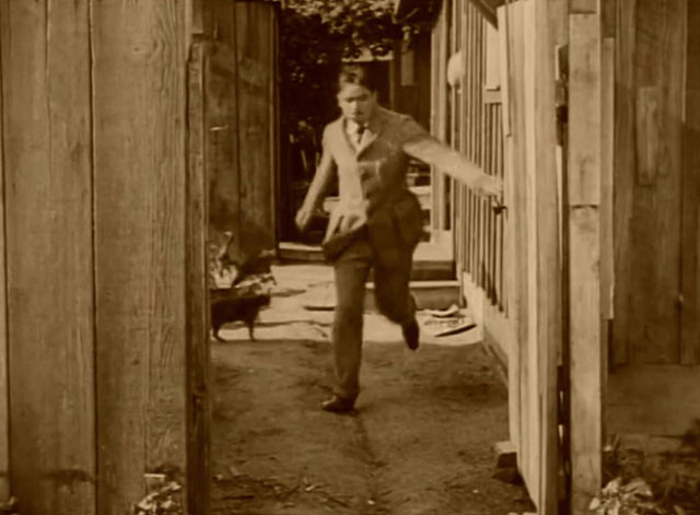 The Mollycoddle - Richard Marshall Douglas Fairbanks running away from cats in yard
