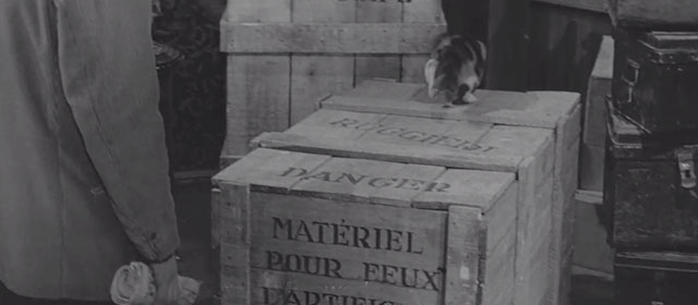 A Monkey in Winter - calico cat on crate marked explosives or fireworks