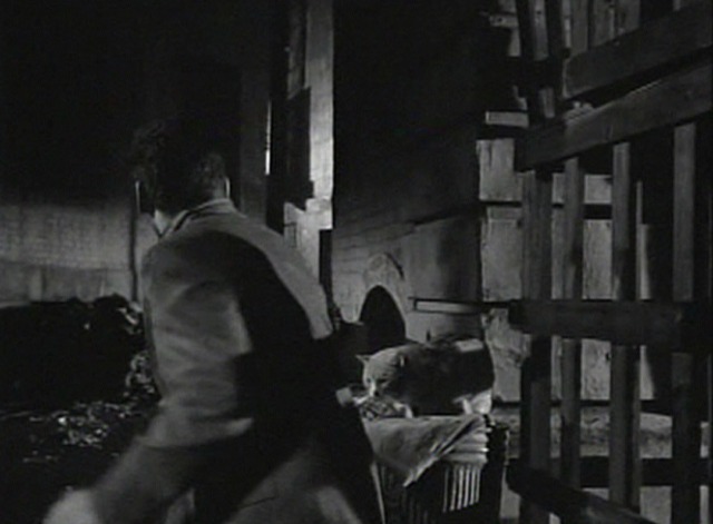 Monkey On My Back alley cat 2