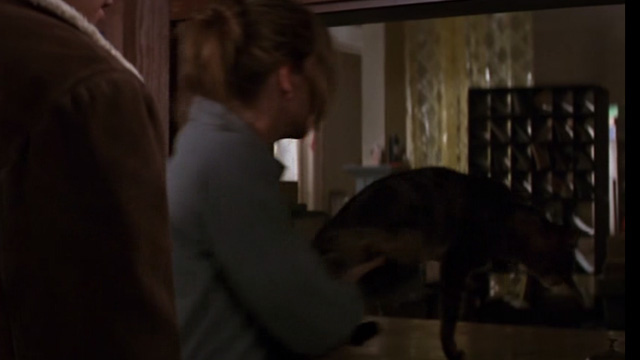 Moonlight Mile - Bertie Ellen Pompeo putting tabby cat Fay Ray on counter