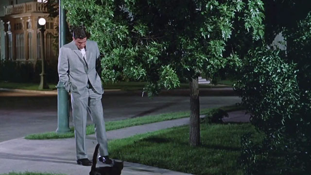 Moon Pilot - Captain Talbot Tom Tryon with black cat on sidewalk