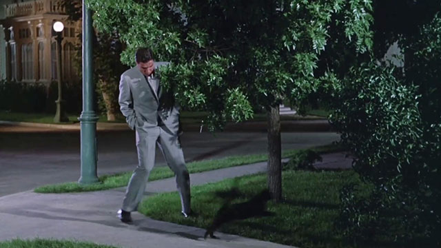 Moon Pilot - Captain Talbot Tom Tryon with black cat on sidewalk