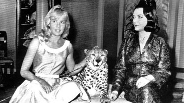The Moon-Spinners - Hayley Mills and Pola Negri posing with cheetah on set